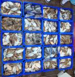 9월 27일 뉴해덕호 조황~!!