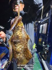 26일)야간팁런&괴물대삼치,중삼치 대박