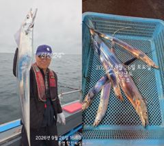 통영 수 은 호<<>>갈치 조황입니다 오늘 3자리여유 있습니다 예약하실때 자리 선택하세요~예약은 3361 4231 전화주세요