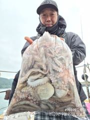 여수레드헌터피싱 히어로호 9월27일(일) 대사리물때 잡은 돌문어 굿굿 조황입니다