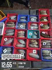 [팁런] 갈도 ~욕지,무시,고구마들(일요일,소수인원,출항확정) 사진
