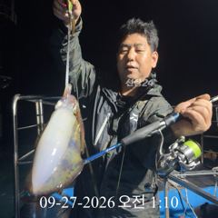 [ 무늬 팁런 ] 연이틀 무늬 마릿수 바닥 조황