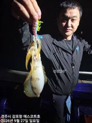 주간에는 고시가 난리법석~야간에 무늬도 쭉쭉 ~오늘(월)예약중입…