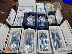 준내만갈치(텐빈. 텐야) 조황입니다. (수요일 예약가능)