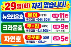 <레인보우호> 갑오징어~마무리조황(28일)