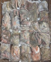 9월28일-문어 무게가 점점더 묵직해져갑니다