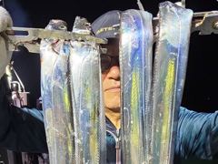 내만갈치~대박조황!씨알급갈치!쿨러넘치게잡고,화요일출항(예약가능)