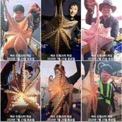(여수 드림스타)돌문어사냥 나갑니다. 돌문어만 공격! 자리여유 많아요