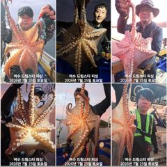 (여수 드림스타)돌문어사냥 나갑니다. 몇자리여유