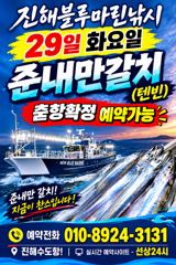 [진해] 준내만갈치)텐빈~씨알급 시즌이 왔습니다(내일.수.모.금.일 예약…