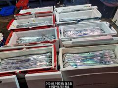 빅토리점경동호 외줄16석 씨알굿 마리수굿.화.수.금.일 예약가능