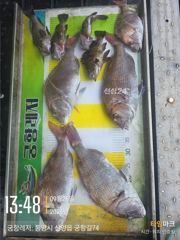 [통영] [곤리 풍화 궁항] 궁항레저 9월 27일 28일 조황입니다