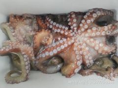 여밭 돌문어 1100g1000g1000g외KKK들 123수 팍~팍~ 전원 마릿수손맛^^
