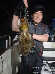 30일 거문도 무늬 오징어 출조합니다 사진