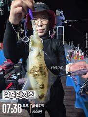 [팁런] 원도권,무시급들(수,목,금,토 예약중)