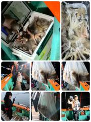 [포항] 돌문어 우르르쾅쾅 화수목1,2부모십니다