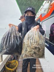 ^삼천포 쭈꾸미 퍽퍽 하네요 ~ "평일/주말 쭈욱 예약중입니다^^ 사진