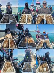 [먹물] ♡갑.쭈♡ 9월 29일 굿~! 조황~!^^