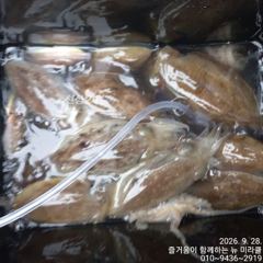 28일 뉴미라클 쭈꾸미 찾아 ~~