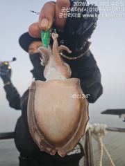 ●군산리더호 2일금욜 자리여유요 갑이잘나오네요● 사진