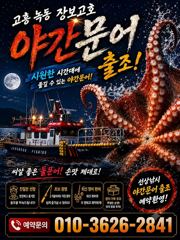 녹동돌문어 싸이즈 좋네요 ~ 사진