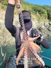 30일, 군산문어~덩치급 문어가 낚이네요~싸이즈 굿~실시간~군산낚시프라자 포세이돈호 사진