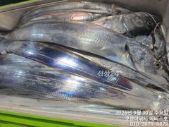 은빛 돼지 갈치 쿨러도장 꽝 오늘 황제 낰시요 사진