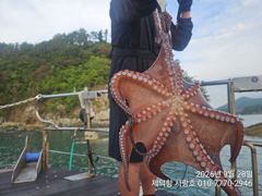 [진해] "여밭 돌문어" 개인6.6kg외 개인22수15수15수13수등전원… 사진