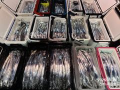 [진해] [준내만갈치]대치쌍걸이로퍽퍽퍽~!! 만쿨까지~ 목요일~금토월예약…