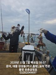 [통영] 통영 금정호 오전문어 시작부터 신나게 올라옵니다 내일과 주말 자…