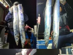 [여수뉴피닉스호] 내일(금) 씨알좋은 갈치출조 자리많습니다. 황제낚시가능 010 7178 3800