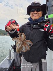 10월 1일 목요일 주간 쭈꾸미 조황!!!