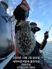 대호피싱 10월2일 쭈꾸미 17분 모시고 나왔습니다 갑오징어가 더 잘나와요