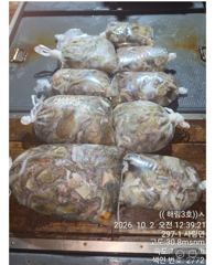 7명 씨알 마리수 조항입니다