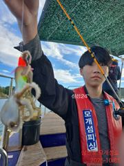 [사천] 초보님들이 중견조사로 변신...대빵 큰 왕쭈꾸미 데리러 가입시다…