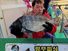 1   [거제] 《대물감성돔 어초흘림》48.43.41외 뺀지.참돔 한방 터지고 … 1