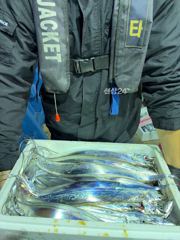 #목포야타피싱 #10월2일 #야간갑오징어 #짬낚시 #조황!