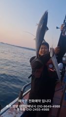 지금은 조업중 숨좀쉬고 잡으세요, 미친조황 미친날 연속, 출조가실분 전화주세요, 사진