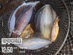 [통영] [팁런] 좌사리,씨알,"굿" (일요일 출항)