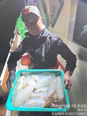 2일 거문도 무늬오징어 조황입니다