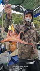 [루시호] 9/3 군산문어 잘 나오고 있습니다 사이즈도 좋네요