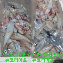 [통영] 야호!!!내일 소수인원이라도 무조건 출항확정입니다 바다로갑시다 …