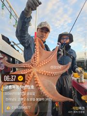 [문어] 고흥 하이킹호