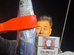 3일, 군산 갑오징어 확실한 조황~굿굿조황~군산낚시프라자 창성호