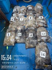 [군산] 26년10월3일 군산 퍼스트피싱 다온호ㆍ루미호ㆍ강프로호 쭈꾸미 …
