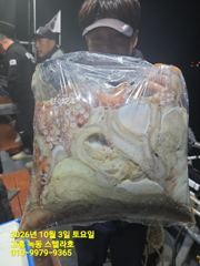 [고흥,녹동] 문어낚시(1부,2부)
