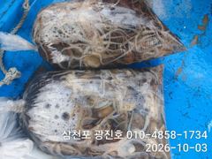 광진호,왕쭈 장원126수{평일,할인}화,수,목,자리여유 예약중