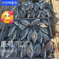 1시간전 [통영] 10.4 무늬 무늬 무늬 씨알굿 오늘은 기상이 쉬라고 하네요. 출동 준비