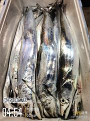 10/4(일) 갈치(텐빈,텐야) 4지,3지~ 사이즈가 좋아요~ 화,수,목 폭풍자리여유 ~