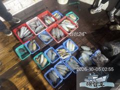 10월4일 무늬오징어 팁런조과입니다.